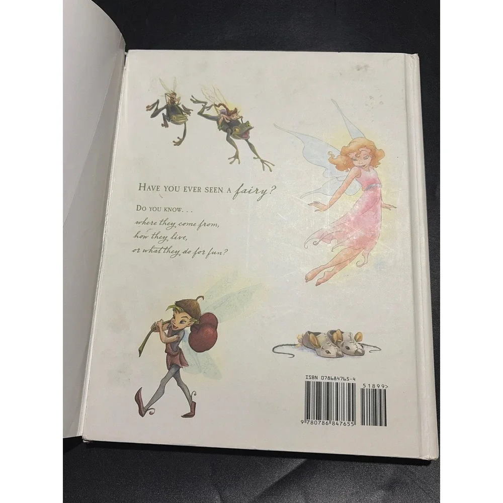 Disney In the Realm of the Never Fairies Pixie Hollow 1st Ed Tinker Bell HC DJ